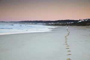 Sand Beach Prints: Man jogging on beach at dawn, Plettenberg Bay, Western Cape, South Africa, Africa