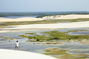 Ceara Prints: A man looking out from the Funil dune, Ceara, Brazil, South America