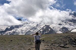 Images Dated 11th August 2008: Man looking at Mount Rainier from trail, Mount Rainier National Park, Washington State