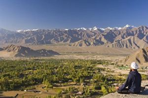 Indus Prints: Man meditating