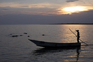 Images Dated 29th December 2007: A man navigates his dugout canoe past bathing hippos in Lake Edward, Queen Elizabeth National Park