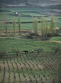 Man ploughing with mule near Puente La Reina