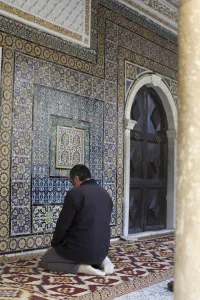 Tiling Prints: Man praying at the mosque in the suk of the Medina, Tripoli, Libya, North Africa, Africa
