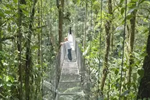 Man standing on hanging bridge in rainforest, , La Fortuna, Arenal, Costa Rica