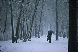 Weather Prints: Man with umbrella and briefcase walks under bare trees in winter, with snow falling
