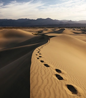 Man walking through Mesquite Sand Dunes at dawn, Death Valley National Park, California