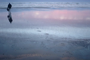 Walks Prints: Man walks with laptop to Pacific Ocean