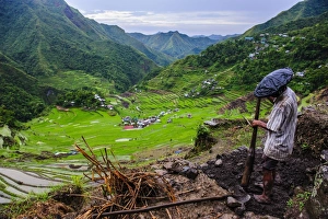 Luzon Prints: Man working in the Batad rice terraces