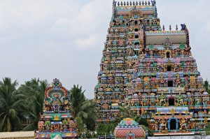 Tamil Nadu Prints: Manargudi temple gopuram, Manargudi, Tamil Nadu, India, Asia