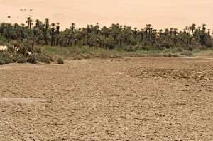 Drought Prints: Mandara lake