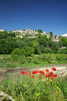 Wild Flower Prints: Manerbes, Petit Luberon, Provence, France, Europe