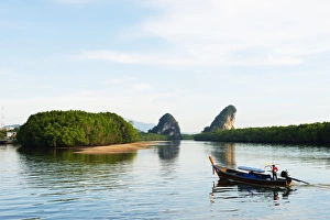 Mangrove forest on Krabi estuary, Krabi, Thailand, Southeast Asia, Asia