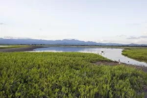Images Dated 8th May 2010: Mangrove and mountains near Trinidad, Cuba, West Indies, Caribbean, Central America