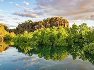 Health Prints: Mangroves reflected in brackish water near Anjajavy Private Reserve in Madagascar under a cloudy sky