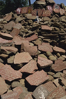 Mani stones, Rewalsar Lake, near Mandi, Himachal Pradesh, India, Asia
