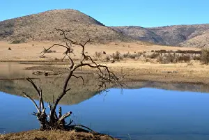 Lakes Prints: Mankwe Dam, central lake in the Pilanesberg National Park, North West Province