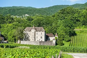 Produce Prints: Manor in vineyards near Ruffieux