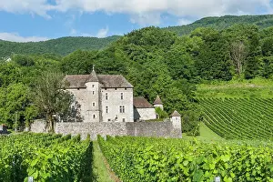 Estate Prints: Manor in vineyards near Ruffieux
