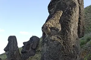 Rano Raraku Prints: Maoi in the Rano Raraku volcanic crater formed of consolidated ash (tuf)