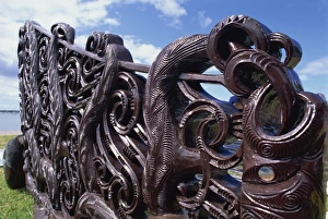 Maori Prints: Maori carving, bow of a canoe, Okahu Bay, Auckland, North Island, New Zealand, Pacific