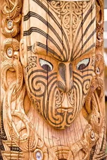 Images Dated 7th November 2008: Maori carvings, Whakarewarewa Thermal Reserve, North Island, New Zealand, Pacific