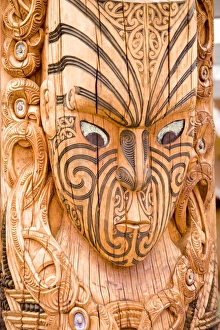 Images Dated 7th November 2008: Maori carvings, Whakarewarewa Thermal Reserve, North Island, New Zealand, Pacific