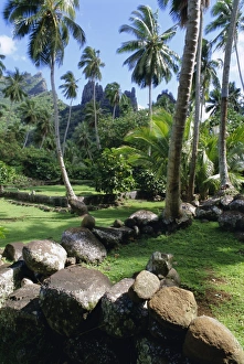 Maori Prints: Maori site of Tohua Hikokua