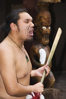Ceremonies Prints: A Maori welcoming ceremony performed at a Cultural