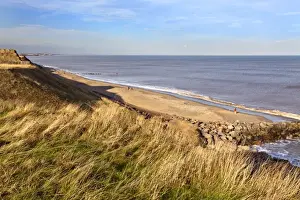 Grasses Prints: Mappleton Sands near Hornsea, East Riding of Yorkshire