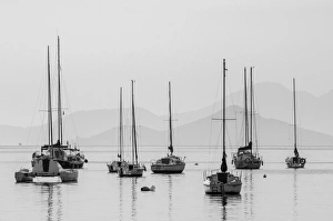 Sailing Boat Prints: Mar Menor, Region of Murcia, Spain, Europe
