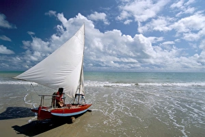 Rio Grande Do Norte Prints: Maracajau, Natal, Rio Grande do Norte state, Brazil, South America