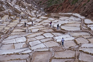 Cusco Prints: Maras Saltpan Salinas in the Sacred Valley of the Incas, near Cusco, Peru, South America
