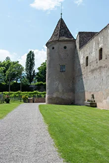 Bolzano Prints: Mareccio Castle near Bolzano (Bozen)