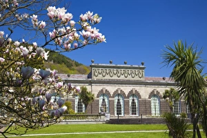 Margam Park, Port Talbot, Wales, United Kingdom, Europe