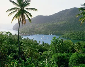 Windward Islands Prints: Marigot Bay, St