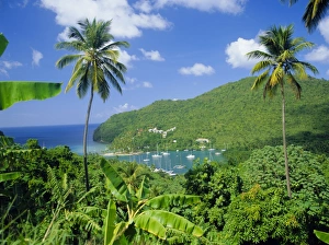 Marigott Bay