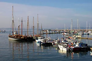 Marinas Prints: Marina, Brixham, Devon, England, United Kingdom, Europe