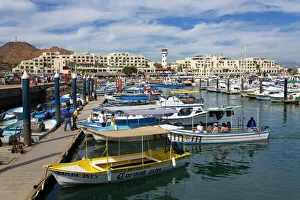 Marinas Prints: Marina, Cabo San Lucas, Baja California, Mexico, North America