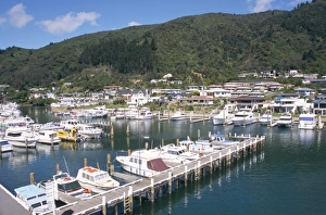 Anchor Prints: Marina, Picton