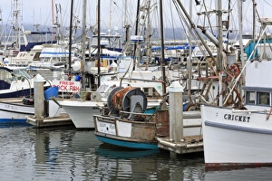 Half Moon Bay Prints: Marina in Pillar Point Harbor, Half Moon Bay