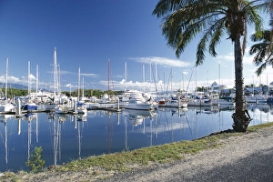 Port Douglas Prints: Marina, Port Douglas, Queensland, Australia, Pacific
