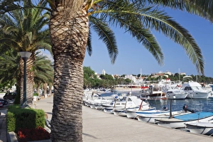 Street Light Prints: Marina and promenade, Baska Voda, Makarska Riviera, Dalmatia, Croatia, Europe