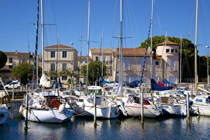 Herault Prints: Marina and sail boats, Bouzigues, Thau basin, Herault, Languedoc, France, Europe