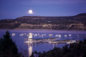 Moonlight Prints: Marina in State Recreation Area