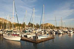 Puerto Vallarta Prints: Marina Vallarta, Puerto Vallarta, Jalisco, Mexico, North America