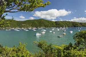 Australasia Prints: Marina at Waikawa, Picton, Marlborough Sounds, South Island, New Zealand, Pacific