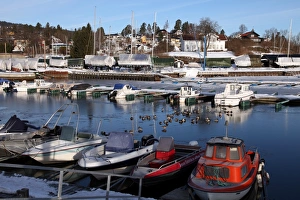 Marina in winter, Asker, Oslofjord, Norway, Scandinavia, Europe