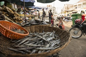 Dead Animal Prints: Market, Battambang, Battambang Province, Cambodia, Indochina, Southeast Asia, Asia