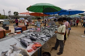 Images Dated 19th January 2000: Market, Phuket