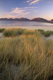 Marram grass and beach near Luskentyre